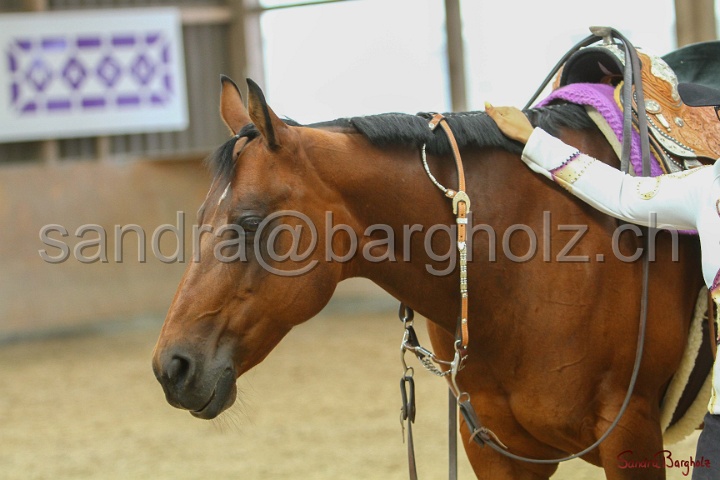 32-ApHC OWP_035.jpg